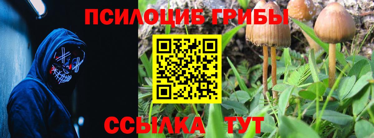 Псилоцибиновые грибы ЛСД  Вход с VPN  купить закладку  Кизляр 